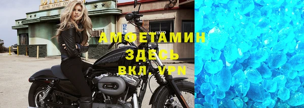 индика Болохово