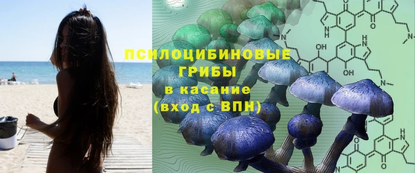 индика Болохово