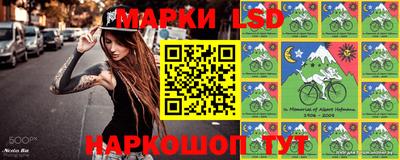 мдпв Камышлов