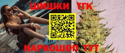 мдпв Камышлов