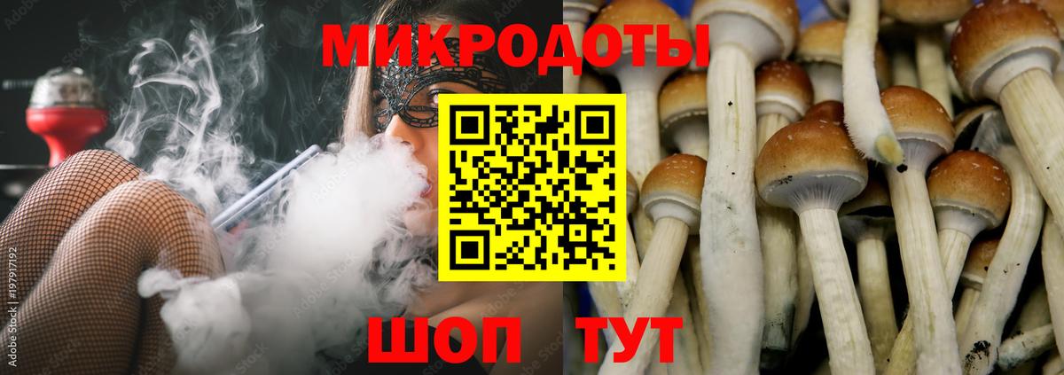 Галлюциногенные грибы Psilocybe  Чебоксары 