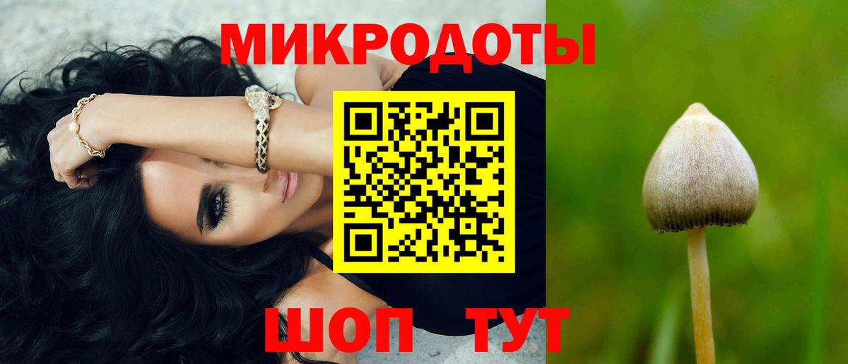 Галлюциногенные грибы прущие грибы  цена наркотик  Вход с VPN  Чебоксары  Псилоцибиновые грибы мухоморы 